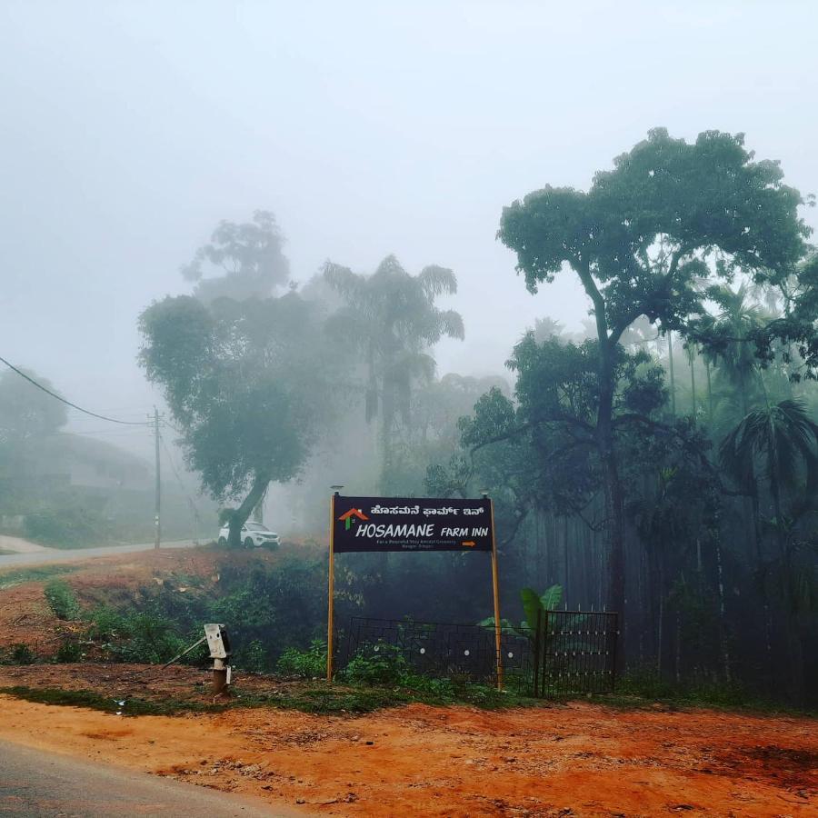 Hosamane Farm Inn Sringeri Exteriör bild