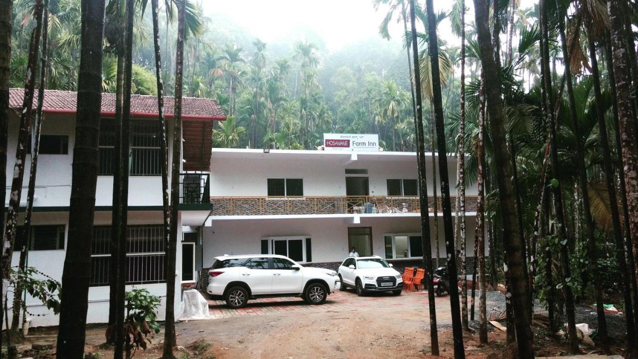 Hosamane Farm Inn Sringeri Exteriör bild