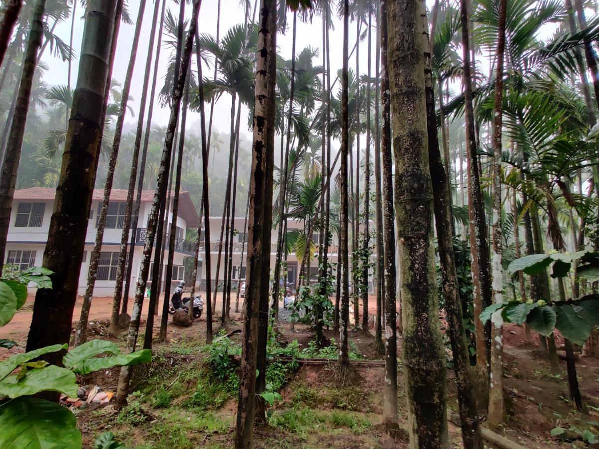 Hosamane Farm Inn Sringeri Exteriör bild