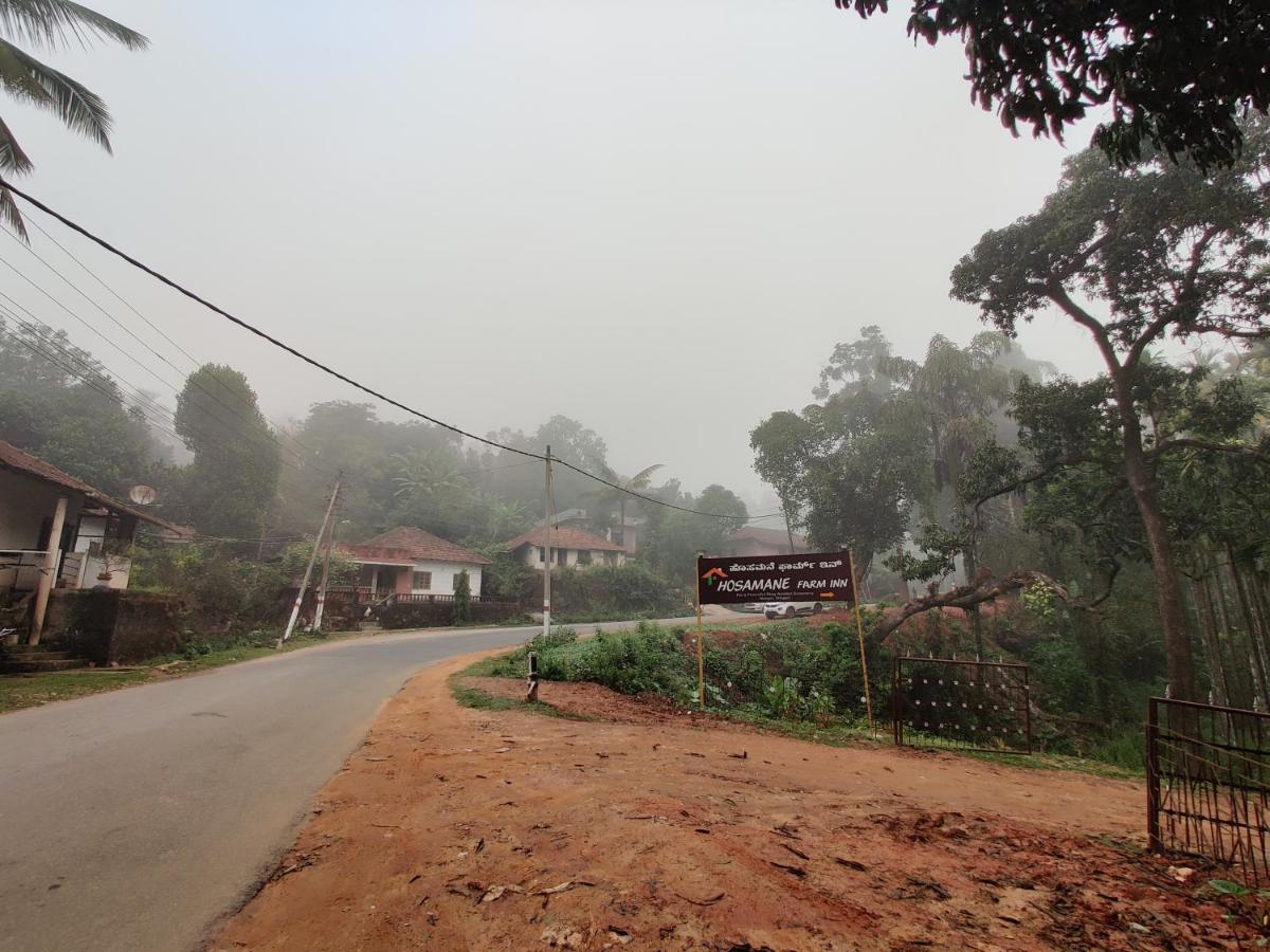 Hosamane Farm Inn Sringeri Exteriör bild