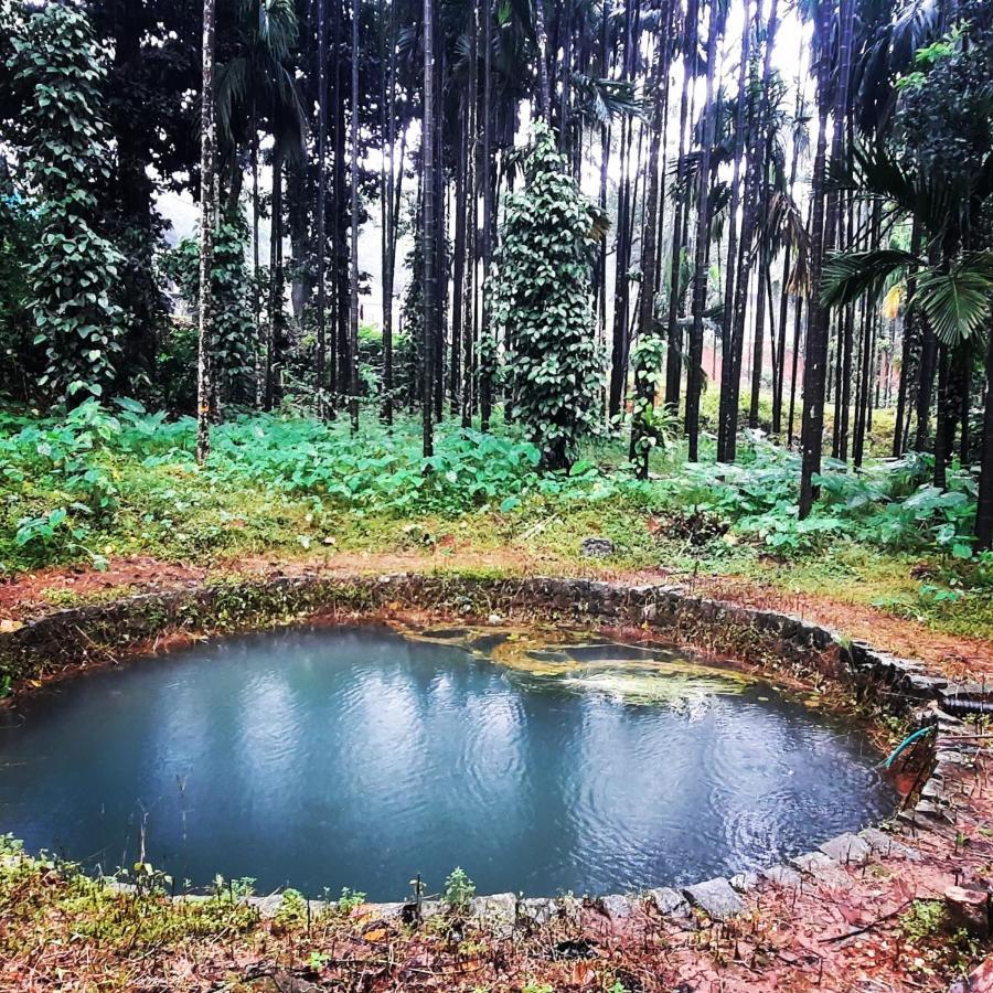 Hosamane Farm Inn Sringeri Exteriör bild